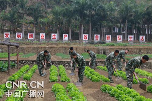 丹鹿合作伙伴——中国部队
