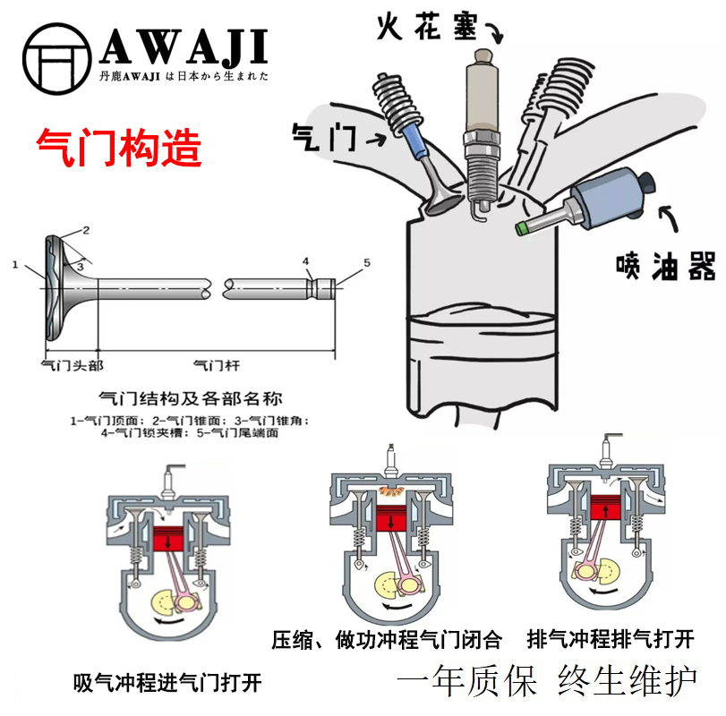 气门构造.jpg